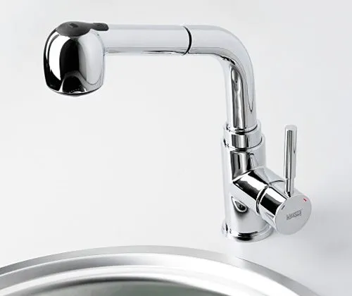 Смеситель для кухни Wasserkraft Main 4166