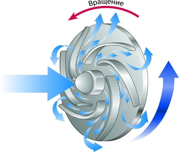Крыльчатка в циркуляционном насосе Крыльчатка в циркуляционном насосе