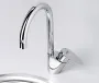 Смеситель для кухни Wasserkraft Leine 3507