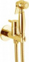Гигиенический душ Webert EL870302010ANTIC со смесителем, С ВНУТРЕННЕЙ ЧАСТЬЮ, золото