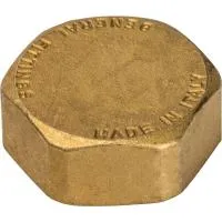 Заглушка внутренняя резьба Stout 1/4* Заглушка внутренняя резьба Stout 1/4*